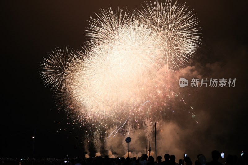 日本东京花火大会