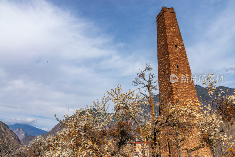 雪山环抱下的宁静山谷