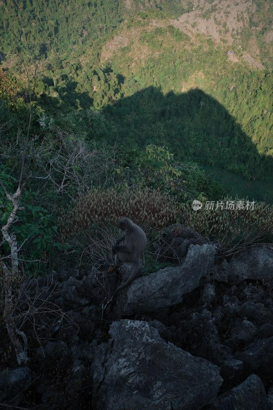 老挝万荣山地田野俯瞰风景