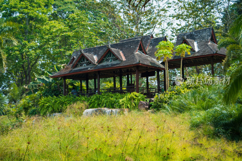 中科植物园里的休息区小屋