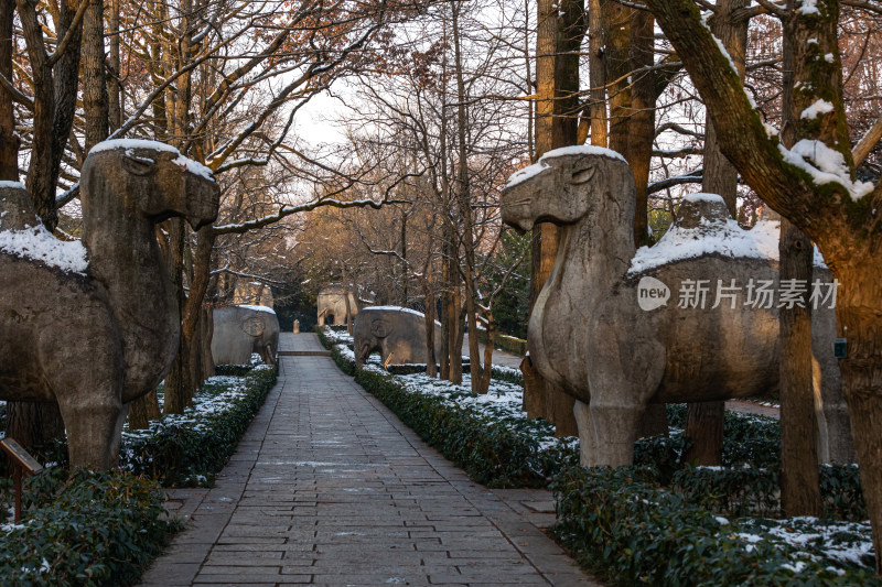 南京明孝陵石象路神道雪景