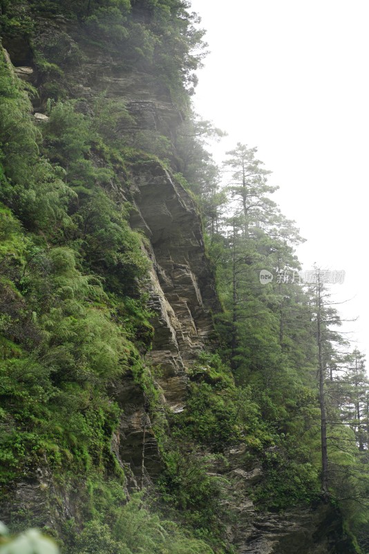 植被覆盖的陡峭山壁自然景象