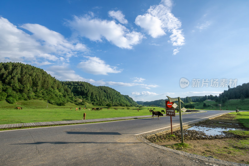 重庆市武隆区仙女山国家森林公园