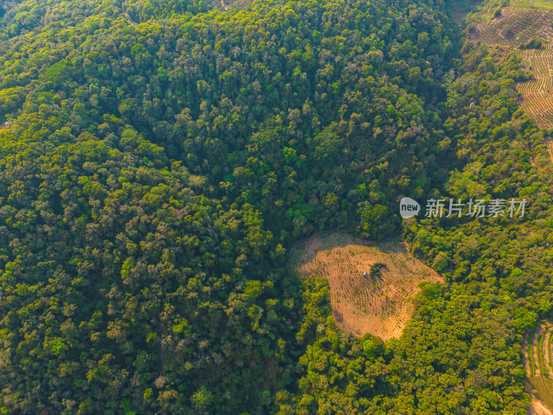 航拍山脉山林