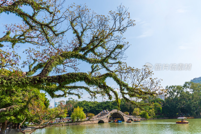 福州西湖公园秋景