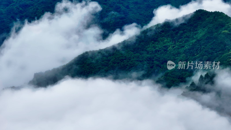 秦岭山脉云海云雾