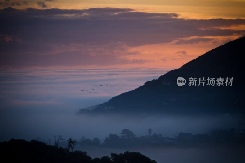 茂密森林大自然树木旅行徒步