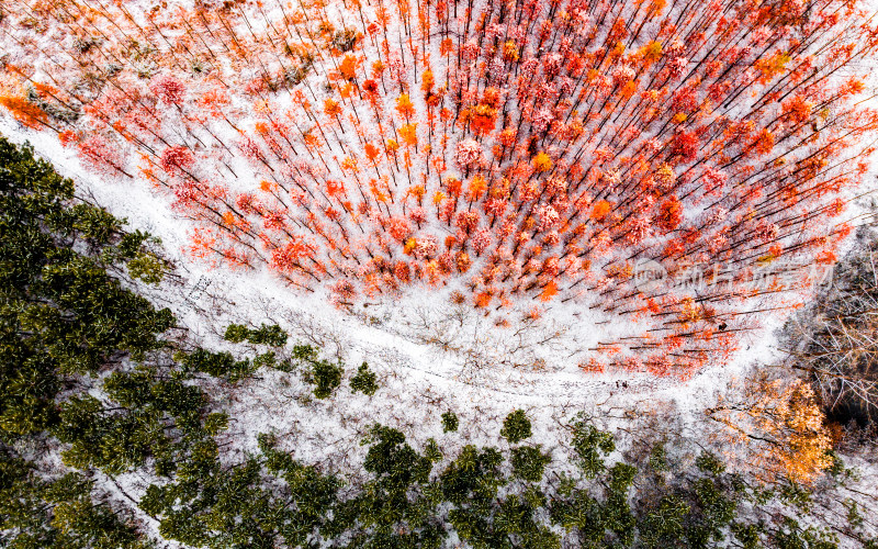 冰雪，冬季，