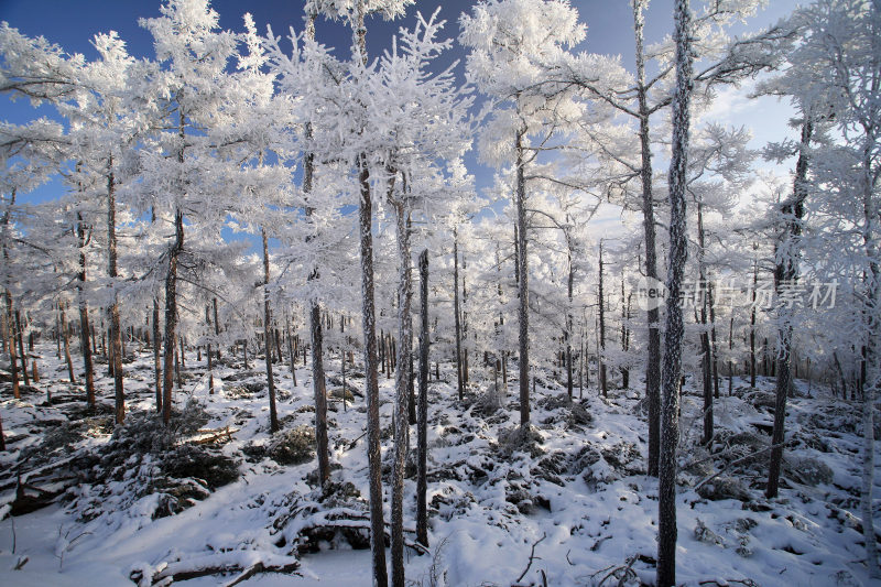 大兴安岭冬季林海雪原冰雪风光