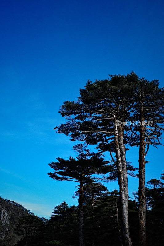 云南大理苍山洗马潭景区