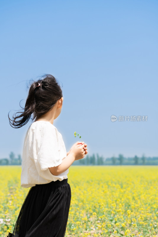 夏天站在油菜花田边拿着野花的女孩