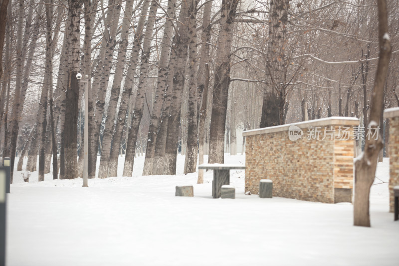 冬季的雪景在公园里