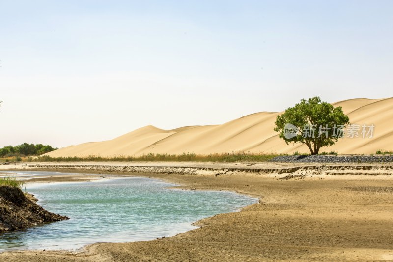 沙漠边缘的水域与绿树风景