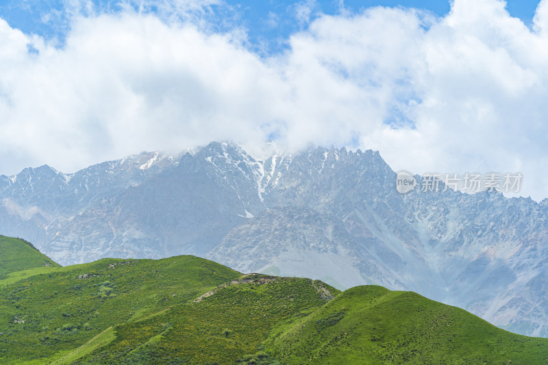 夏季青海祁连山高山草原牧场与祁连雪山