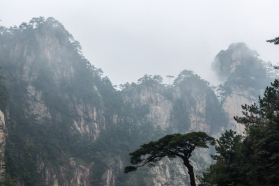 云海中的大明山