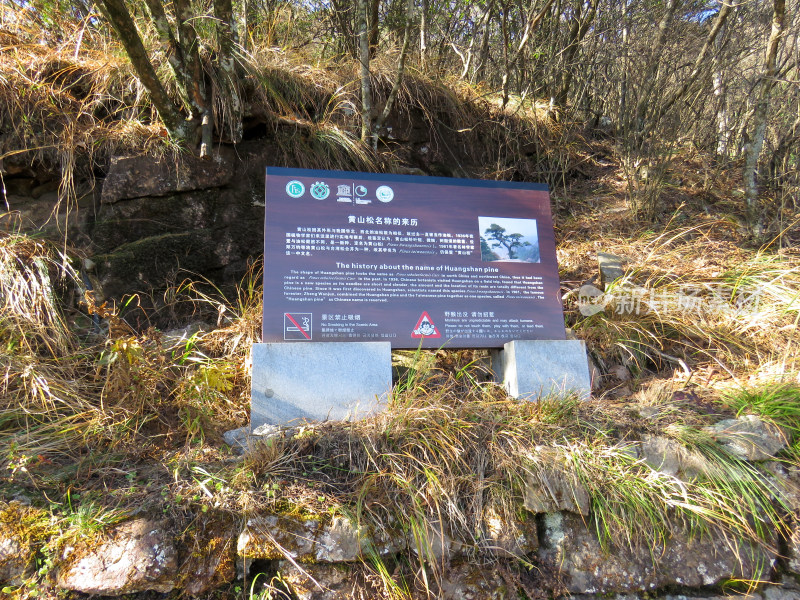 中国安徽黄山旅游风光