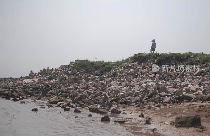 海滩礁石背影