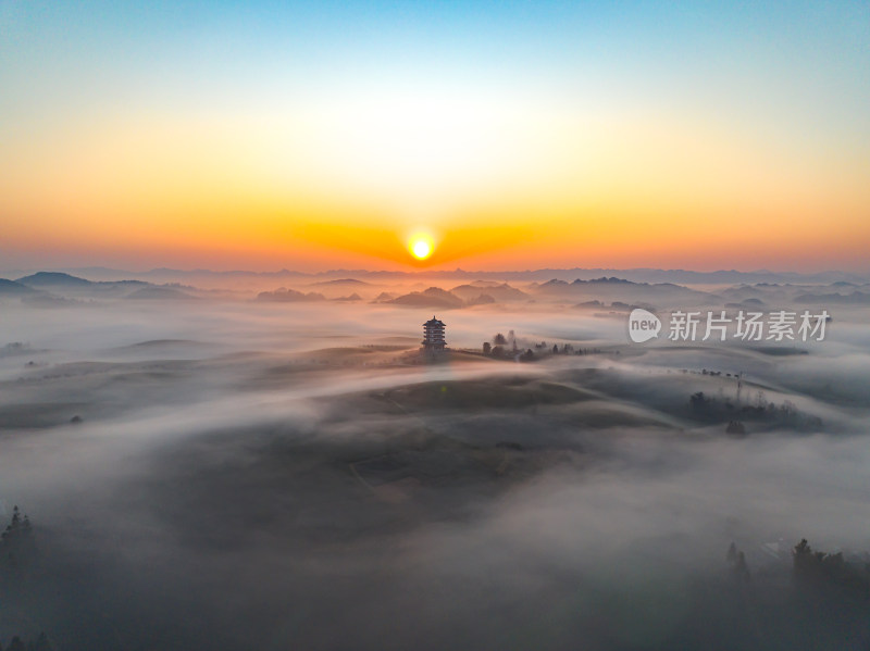 贵州遵义湄潭茶海