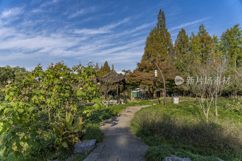 杭州西子湖畔杭州花圃风景