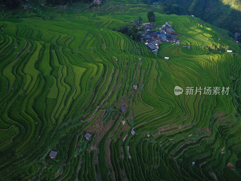 贵州黔东南从江县加榜梯田田园风光