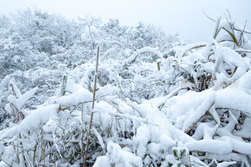 户外雪景