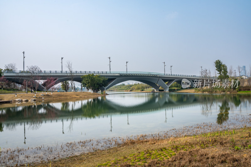 城市公园湖畔风景