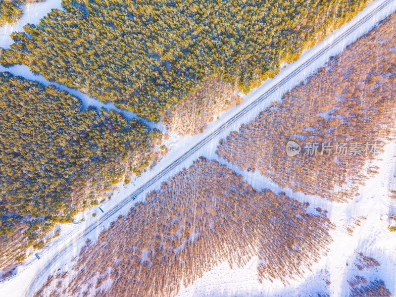 航拍雪后树林中蜿蜒的道路