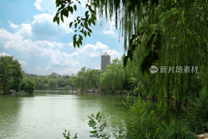 北京大学校内景色