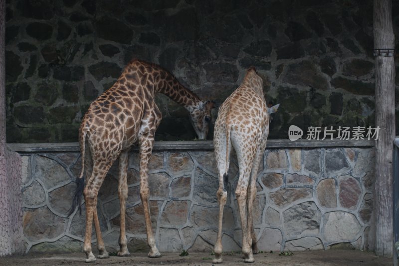 杭州风光 西湖风光