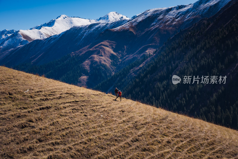 新疆天山山脉秋天雪山牧场风景