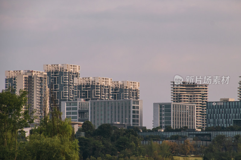 城市高楼建筑