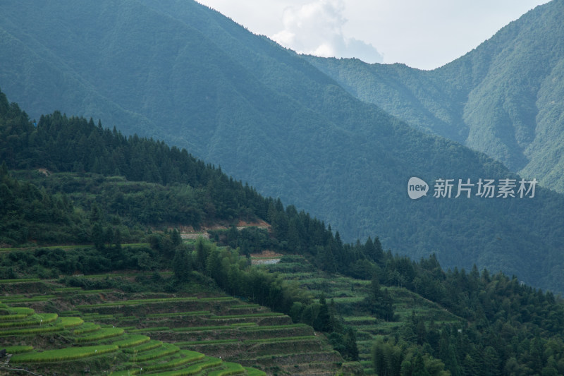 远处的山峰特写