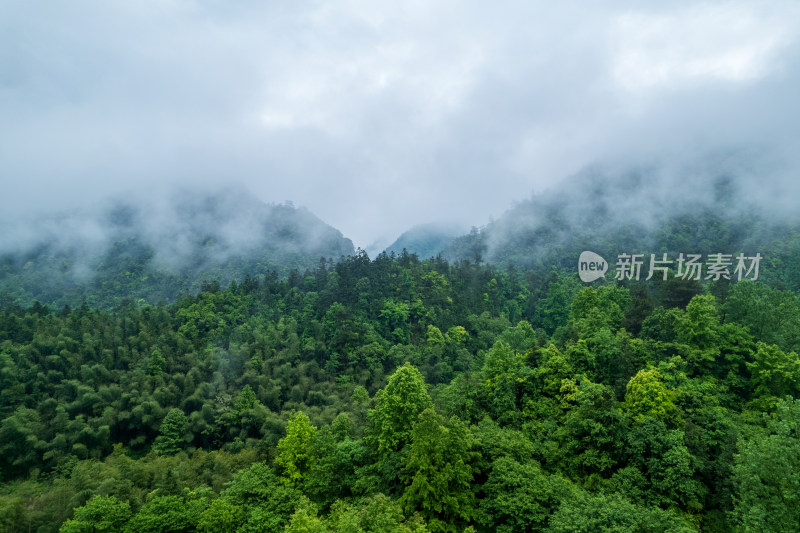 山林云雾缭绕自然风光