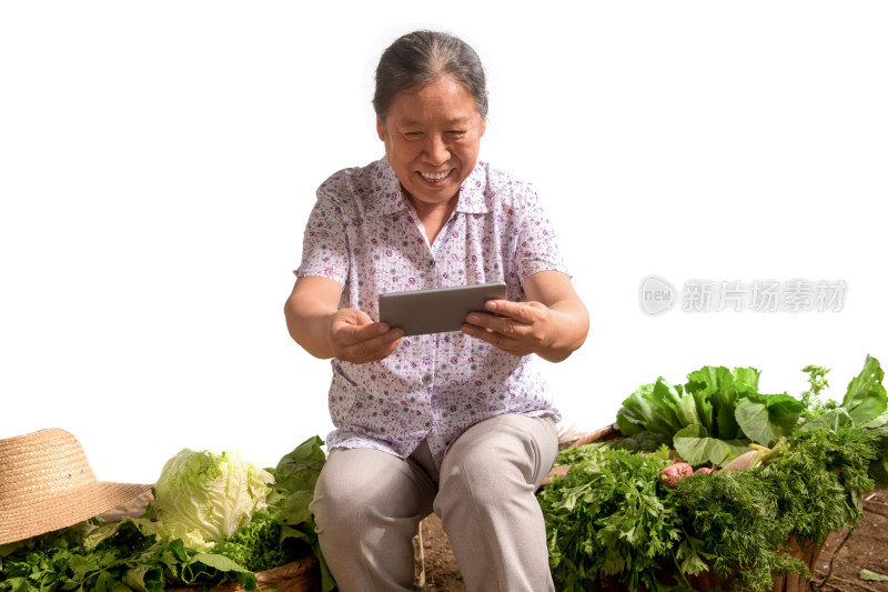 菜农使用手机