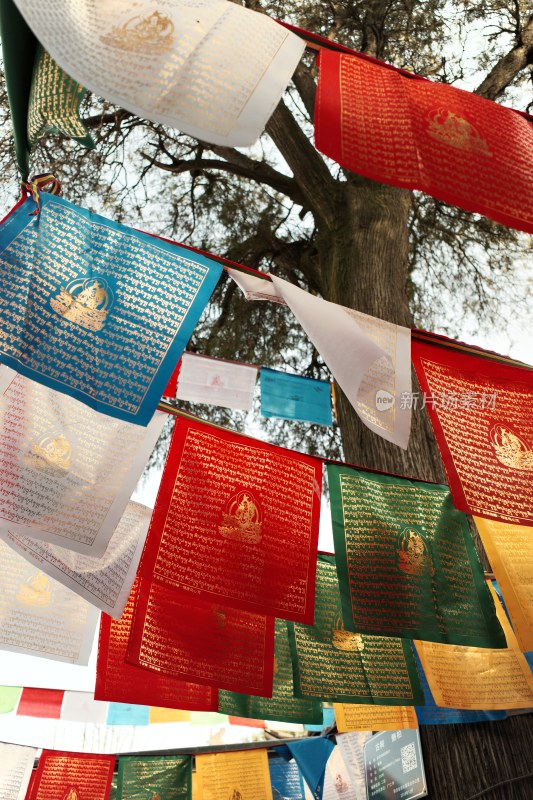 西安藏传寺庙广仁寺内部景观