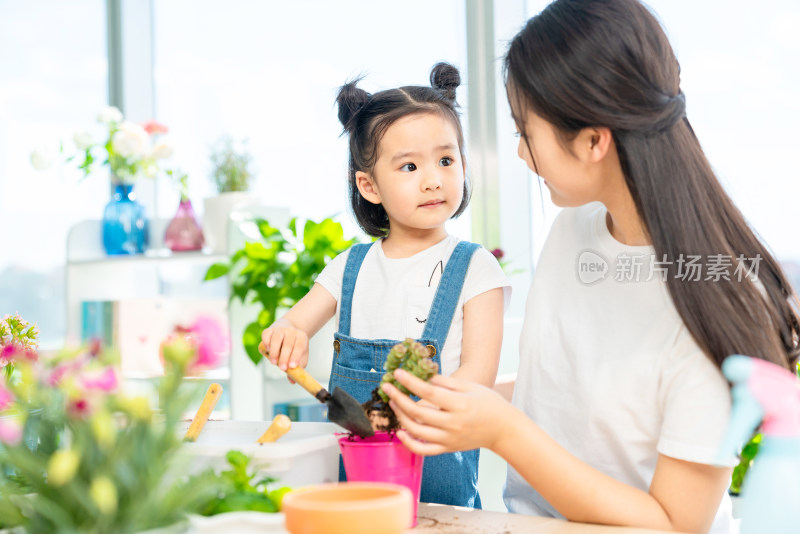 快乐的母女俩在家种植盆栽