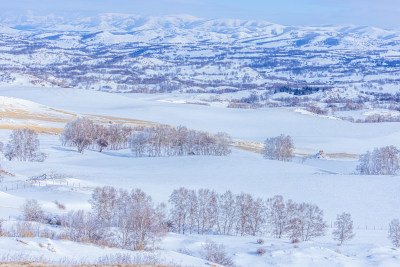 冬天雾凇树挂雪景雪林森林