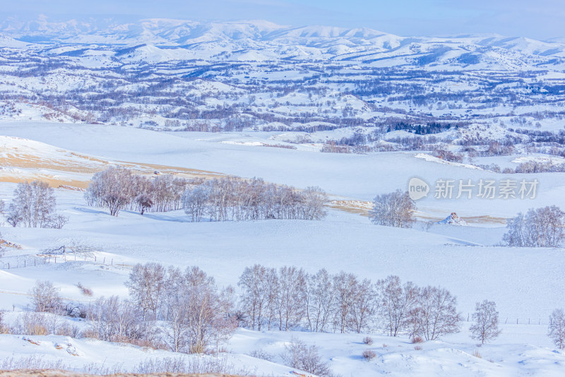 冬天雾凇树挂雪景雪林森林