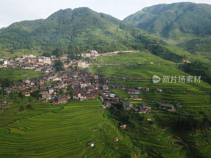 贵州黔东南从江县加榜梯田田园风光