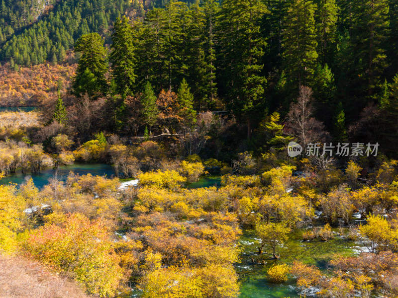 九寨沟秋景