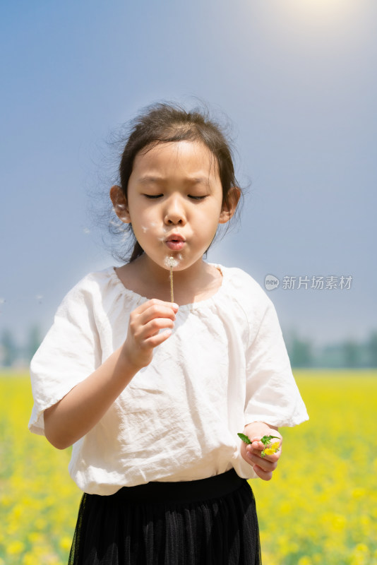 夏天站在油菜花田边吹蒲公英的女孩