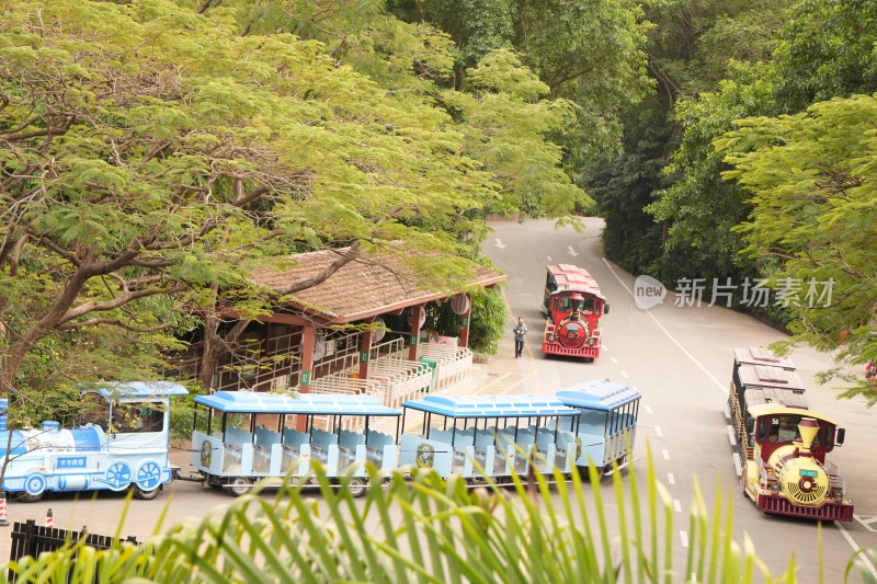 蓝白观光小火车在景区道路上行驶