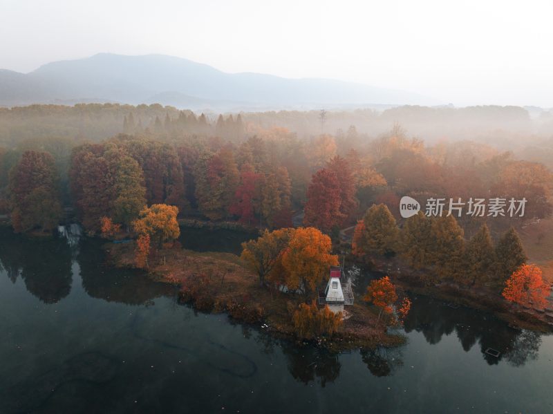 南京中山植物园前湖秋季风光