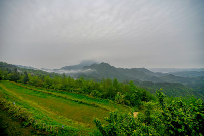 重庆酉阳：晨雾细雨美青山