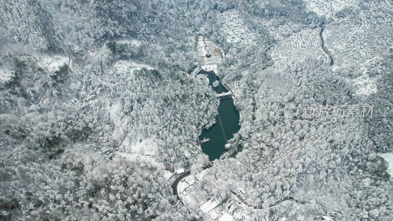 森林雪景