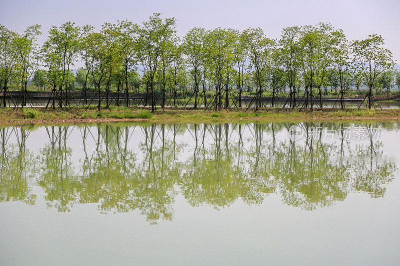 中国浙江湖州长兴仙山湖风景区 湿地公园