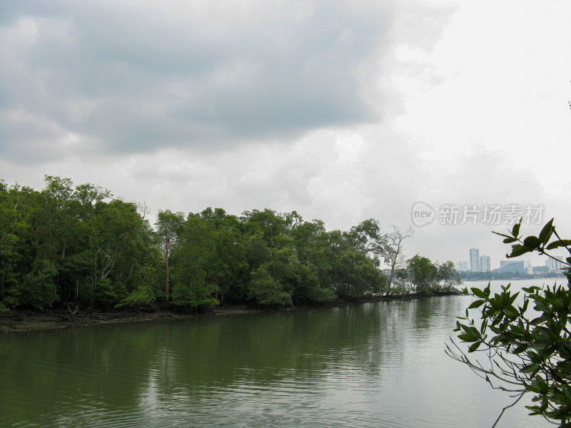 新加坡双溪布洛湿地保护区自然风光