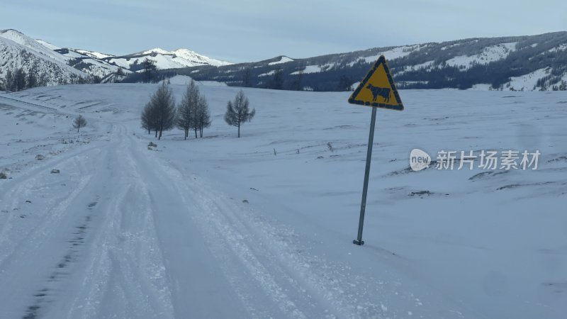 雪 雪地 新疆 雪路 喀纳斯