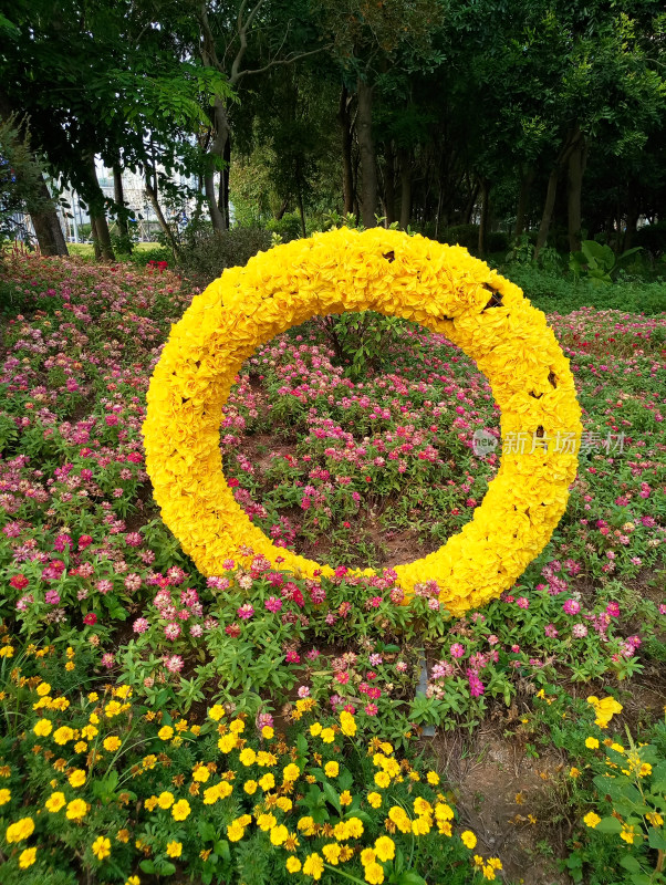 城市公园中黄色花朵环形景观