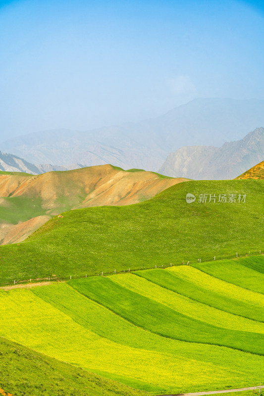 青海祁连县卓尔山景区，夏季起伏的高山牧场